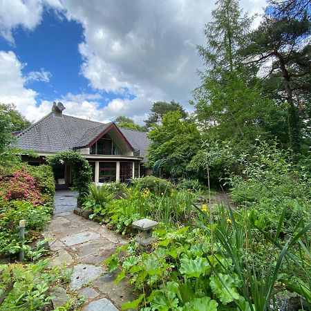 Sjieke Gezellige Villa In Het Bos Lieshout ภายนอก รูปภาพ