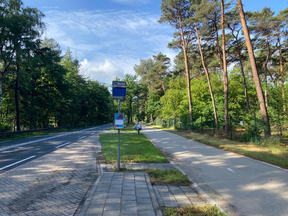 Sjieke Gezellige Villa In Het Bos Lieshout ภายนอก รูปภาพ