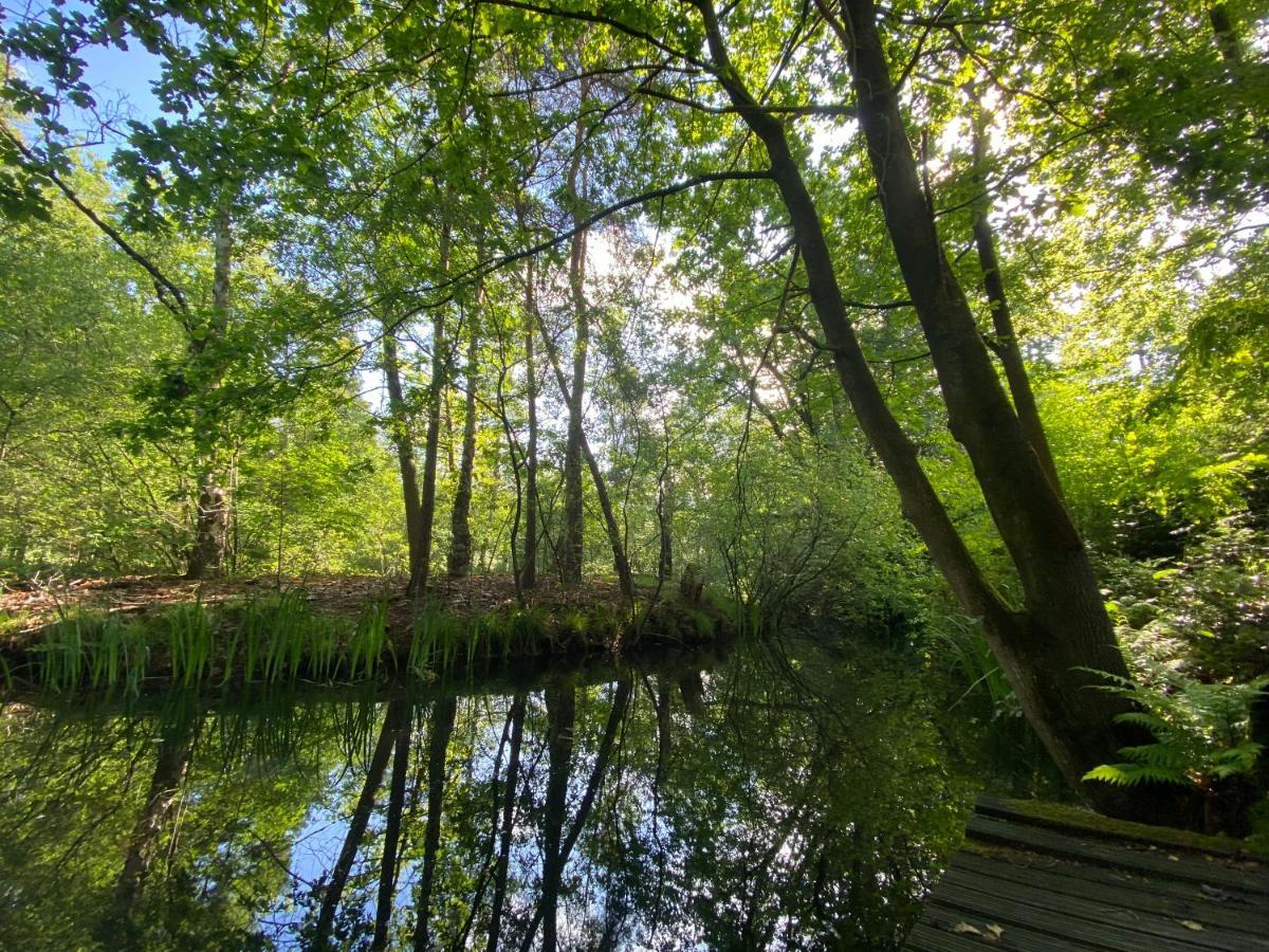 Sjieke Gezellige Villa In Het Bos Lieshout ภายนอก รูปภาพ